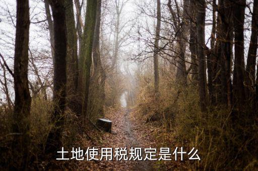 大宗商品土地使用稅指什么，土地使用稅