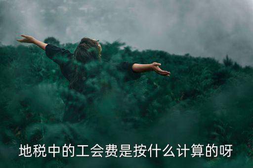 地稅代征的工會經費按什么計算，地稅中的工會費是按什么計算的呀