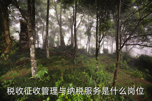稅控服務(wù)單位是什么，開發(fā)票提示金稅設(shè)備檢測異常請聯(lián)系當?shù)胤?wù)單位 是什么意思