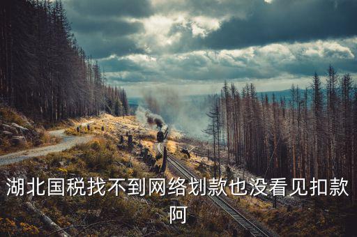 湖北省國稅局四個(gè)確保是什么，湖北國稅找不到網(wǎng)絡(luò)劃款也沒看見扣款阿
