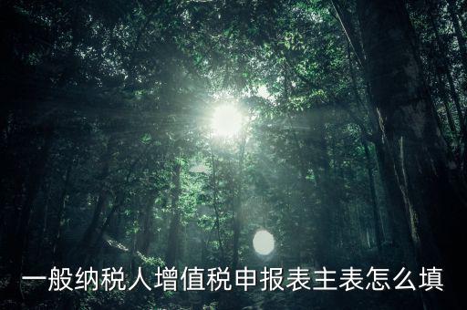 一般納稅人主表是什么，一般納稅人增值稅申報表主表怎么填