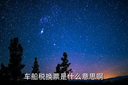車(chē)船稅換票是什么意思啊