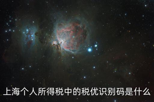 稅優(yōu)碼什么樣子，保險稅優(yōu)識別碼是什么樣的