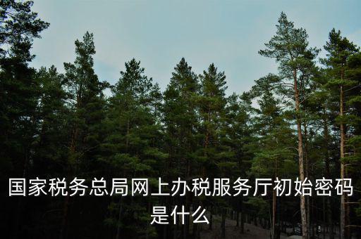 國稅申報默認密碼是什么意思，國家稅務總局網上辦稅服務廳初始密碼是什么
