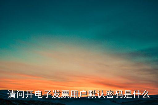 重慶國(guó)稅電子發(fā)票登錄密碼是什么意思，國(guó)稅局發(fā)票軟件里用戶(hù)代碼和密碼是什么