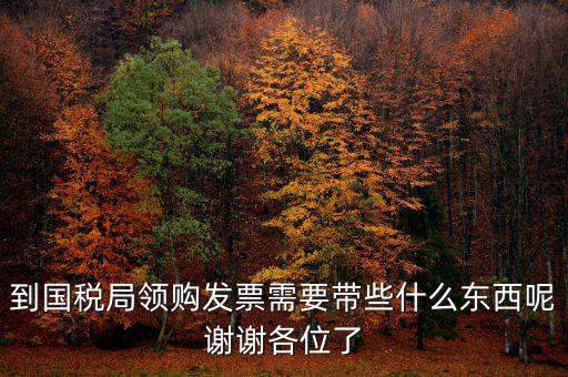 去國(guó)稅領(lǐng)發(fā)票需要帶什么，國(guó)稅領(lǐng)取發(fā)票需帶什么材料不是初次領(lǐng)購(gòu)