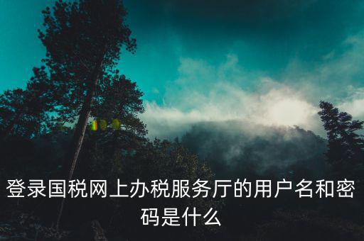 稅務(wù)查詢賬號(hào)密碼是什么意思，登錄國(guó)稅網(wǎng)上辦稅服務(wù)廳的用戶名和密碼是什么