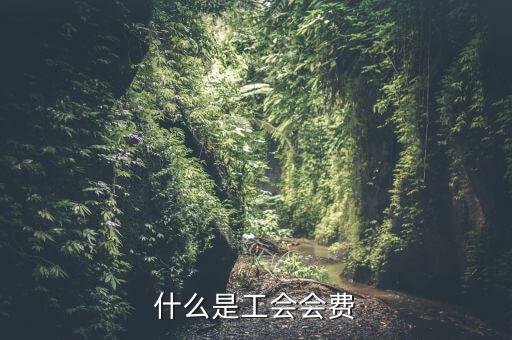 什么企業(yè)交工會經費，繳工會經費的依據是什么