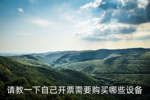 請(qǐng)教一下自己開(kāi)票需要購(gòu)買哪些設(shè)備