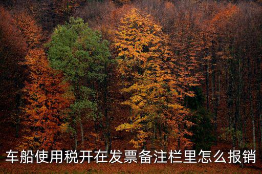 車船使用稅為什么在發(fā)票備注欄，保險公司代收的車船稅稅款是填在備注欄里的么