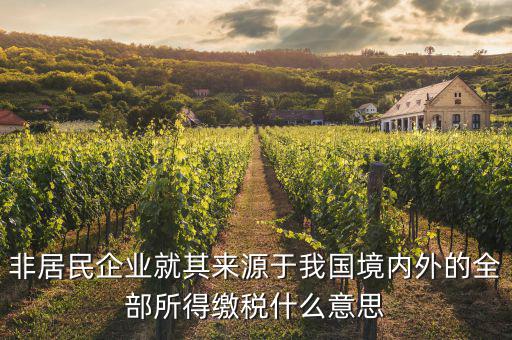 非居民企業(yè)就其來(lái)源于我國(guó)境內(nèi)外的全部所得繳稅什么意思