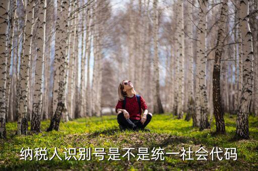 納稅人識別號 統(tǒng)一社會代碼是什么，納稅人識別號就是統(tǒng)一社會信用代碼嗎