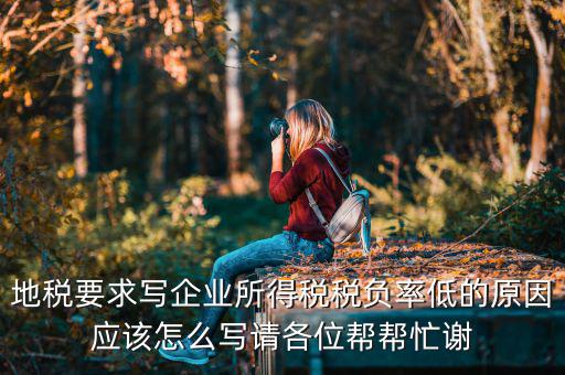 地稅的風(fēng)險(xiǎn)評(píng)定低是什么意思，地稅要求寫企業(yè)所得稅稅負(fù)率低的原因應(yīng)該怎么寫請(qǐng)各位幫幫忙謝