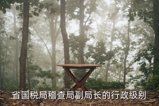 湖南稽查局長什么級(jí)別，湖南廣電局紀(jì)檢組長是什么級(jí)別