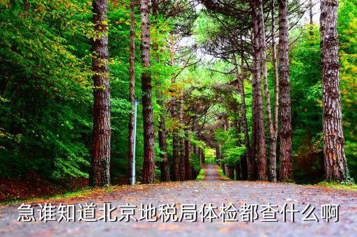 地稅局有什么體檢，請問地稅的什么時(shí)候體檢政審啊