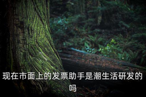 國稅發(fā)票助手是干什么的，現(xiàn)在市面上的發(fā)票助手是潮生活研發(fā)的嗎