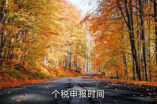 個人經營所得稅什么時候申報，個人所得稅明細申報什么時候報