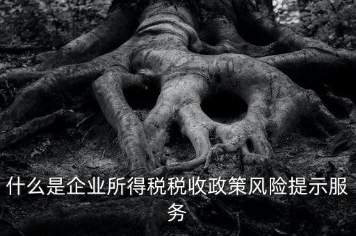 什么是企業(yè)所得稅稅收政策風險提示服務(wù)