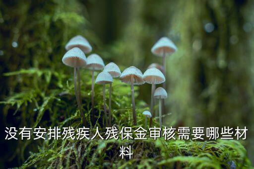 福建殘保金備案需要什么資料，求助2012年殘保金申請(qǐng)流程
