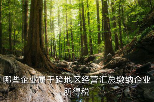 跨地區(qū)經營匯總納稅指的是什么，哪些企業(yè)屬于跨地區(qū)經營匯總繳納企業(yè)所得稅