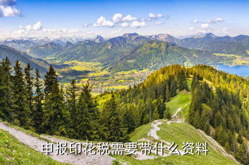 技術(shù)合同印花稅需要什么材料，需要交印花稅的技術(shù)合同包含哪些