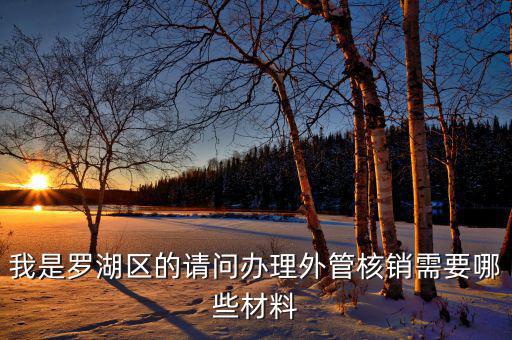 深圳外經(jīng)證核銷需要什么資料，我是羅湖區(qū)的請問辦理外管核銷需要哪些材料