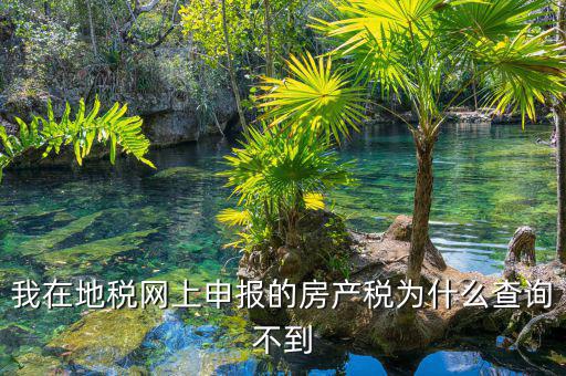 地稅申報(bào)信息查不到是什么原因，地稅報(bào)稅時(shí)提示納稅人信息不存在是怎么回事