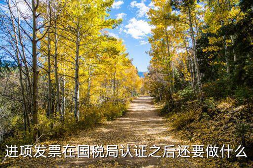 稅務(wù)認定之后做什么，新辦企業(yè)稅務(wù)登記證下來后接下來會計該做些什么工作