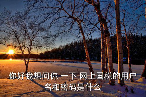 電子稅務(wù)的賬號(hào)密碼是什么，你好我想問(wèn)你 一下 網(wǎng)上國(guó)稅的用戶名和密碼是什么