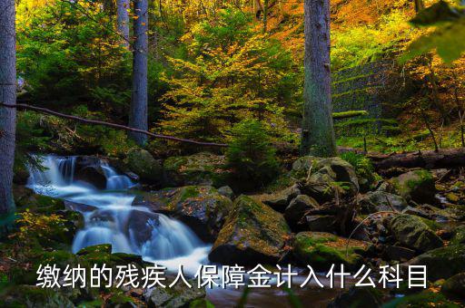 殘疾人就業(yè)保障金稅目是什么，殘疾人就業(yè)保障金應計什么會計科目
