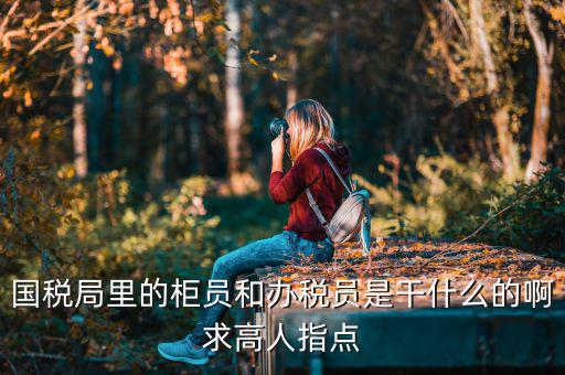 國(guó)稅局導(dǎo)稅員干什么的，國(guó)稅局里的柜員和辦稅員是干什么的啊求高人指點(diǎn)