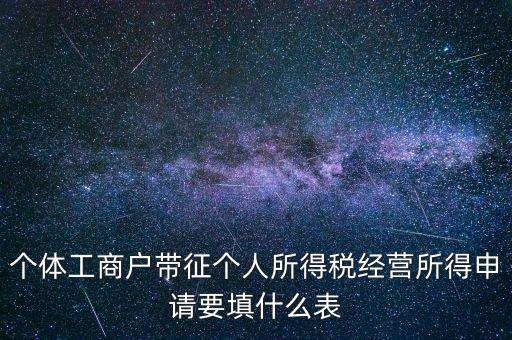 個體所得稅填什么表，個稅表怎么填