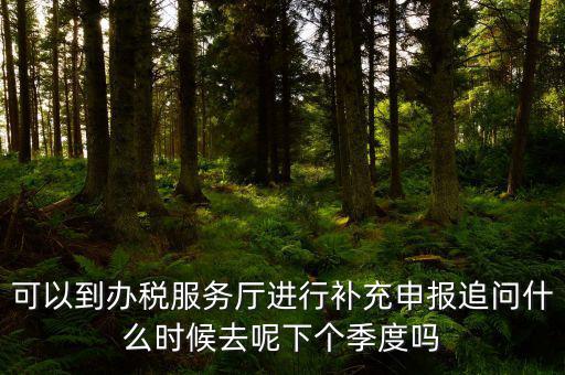 據(jù)實(shí)申報(bào)是按照什么申報(bào)，可以到辦稅服務(wù)廳進(jìn)行補(bǔ)充申報(bào)追問(wèn)什么時(shí)候去呢下個(gè)季度嗎