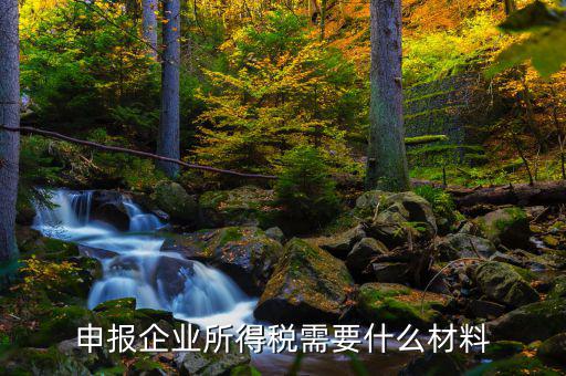 企業(yè)所得稅補申報需要什么，申報企業(yè)所得稅需要什么材料