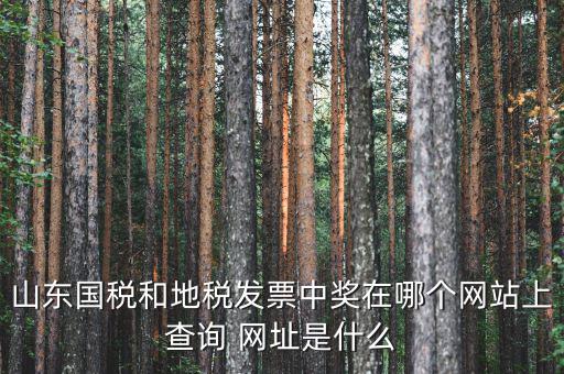發(fā)票領(lǐng)用什么網(wǎng)站，誰(shuí)知道發(fā)票兌獎(jiǎng)上那個(gè)網(wǎng)站
