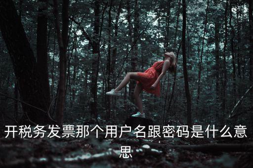 開(kāi)稅務(wù)發(fā)票那個(gè)用戶(hù)名跟密碼是什么意思