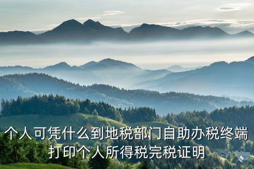 稅務(wù)局自助辦稅服務(wù)終端是什么，自助辦稅終端 報(bào)稅