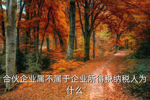 合伙企業(yè)為什么是個稅納稅人，合伙企業(yè)屬不屬于企業(yè)所得稅納稅人為什么