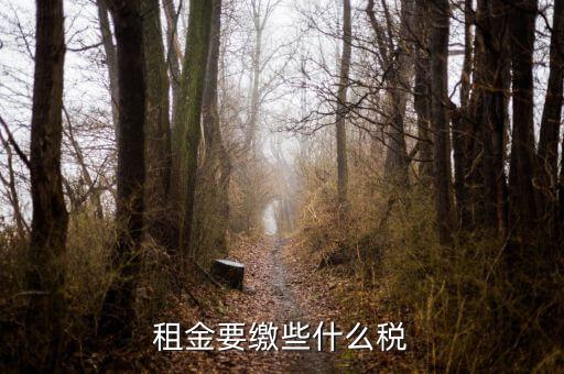 承租者租金交什么稅，租金要繳些什么稅
