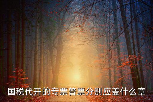 國(guó)稅代開(kāi)的專(zhuān)票普票分別應(yīng)蓋什么章