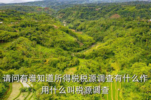 稅收調(diào)查有什么用，登錄用戶無(wú)權(quán)訪問任務(wù)2015年度全國(guó)稅收調(diào)查是什么意思