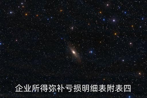 企業(yè)所得彌補虧損明細(xì)表附表四