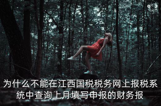 為什么不能在江西國(guó)稅稅務(wù)網(wǎng)上報(bào)稅系統(tǒng)中查詢上月填寫(xiě)申報(bào)的財(cái)務(wù)報(bào)