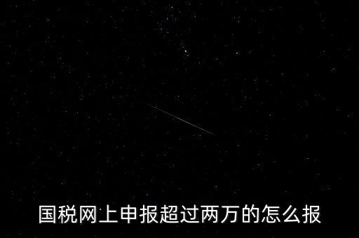 國稅網(wǎng)報入口是什么，怎樣才能進入小規(guī)模納稅人增值稅網(wǎng)上申報系統(tǒng)
