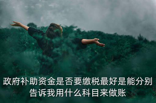 政府補貼交什么稅，關(guān)于政府補助的納稅問題 請高手來回答啊 謝謝