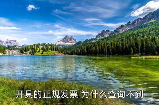 開(kāi)具的正規(guī)發(fā)票 為什么查詢(xún)不到