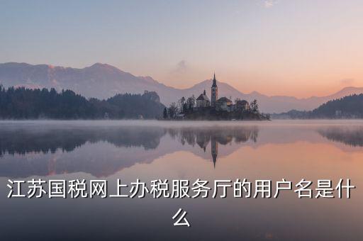 網(wǎng)上辦稅平臺帳號是什么，地稅網(wǎng)上申報用什么帳號