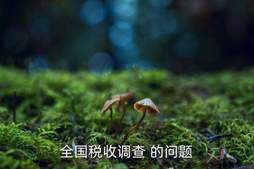 全國稅收調(diào)查是什么呢，全國稅收調(diào)查表說明