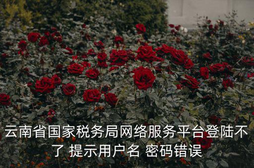 云南稅控服務(wù)平臺的網(wǎng)址是什么，云南國稅開票系統(tǒng)網(wǎng)址