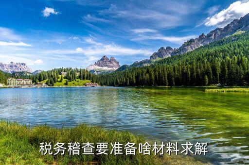 稅收調(diào)查需要什么資料，稅務(wù)檢查調(diào)閱企業(yè)會(huì)計(jì)資料需要辦理什么手續(xù)